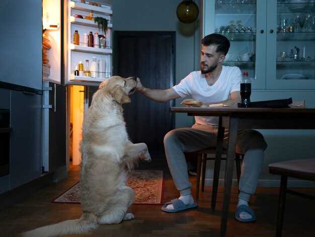Длительность игровых сессий у мужчин с домашними собаками: исследование