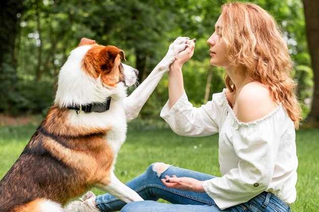 Как распознать симптомы бешенства у человека после укуса собаки?