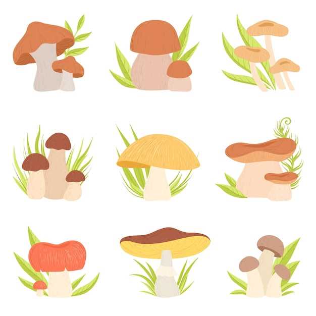 Советы по выбору и приготовлению грибов для детей