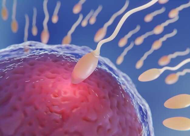 Формирование нервной трубки и нейральных ганглиев у эмбриона