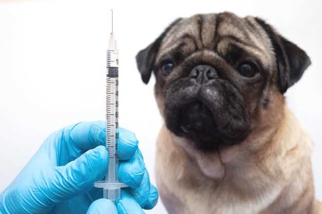 Какие дозы вакцины от бешенства используются сегодня?